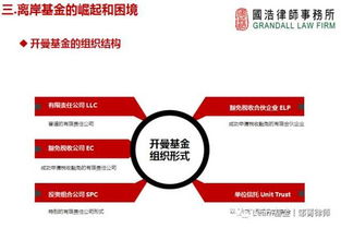 監管升級背景下，海外投資的策略調整與投資管理之道