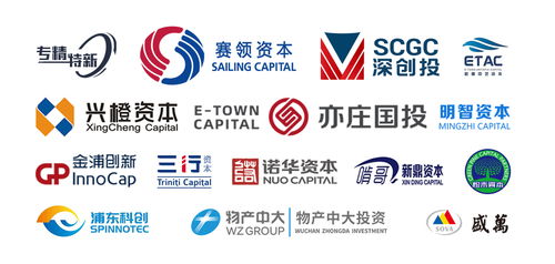光刻機巨頭ASML稱中企可能侵權，中企回應 關鍵技術完全自研，投資管理合規